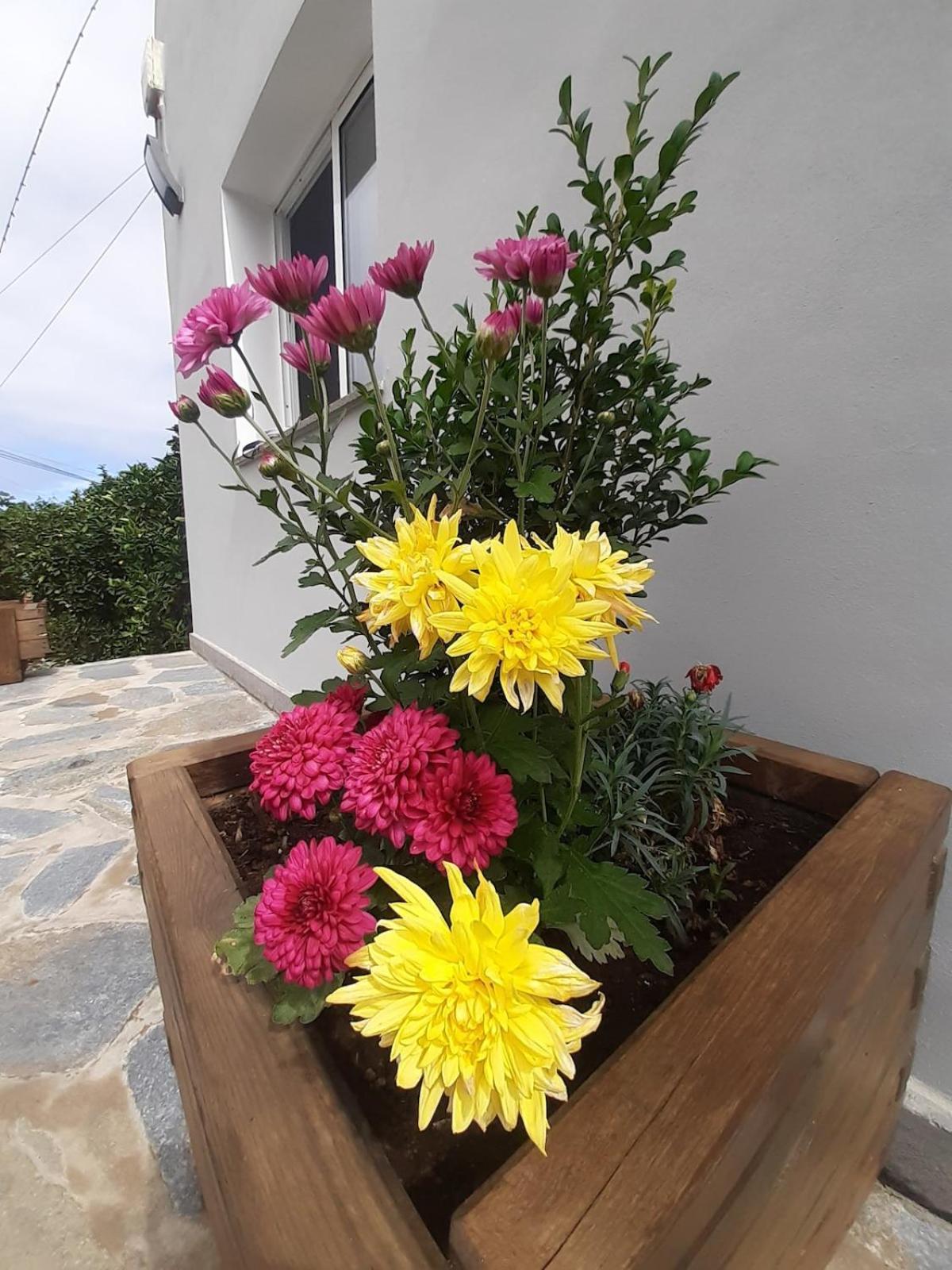 Finca De Luna La Orotava Ngoại thất bức ảnh