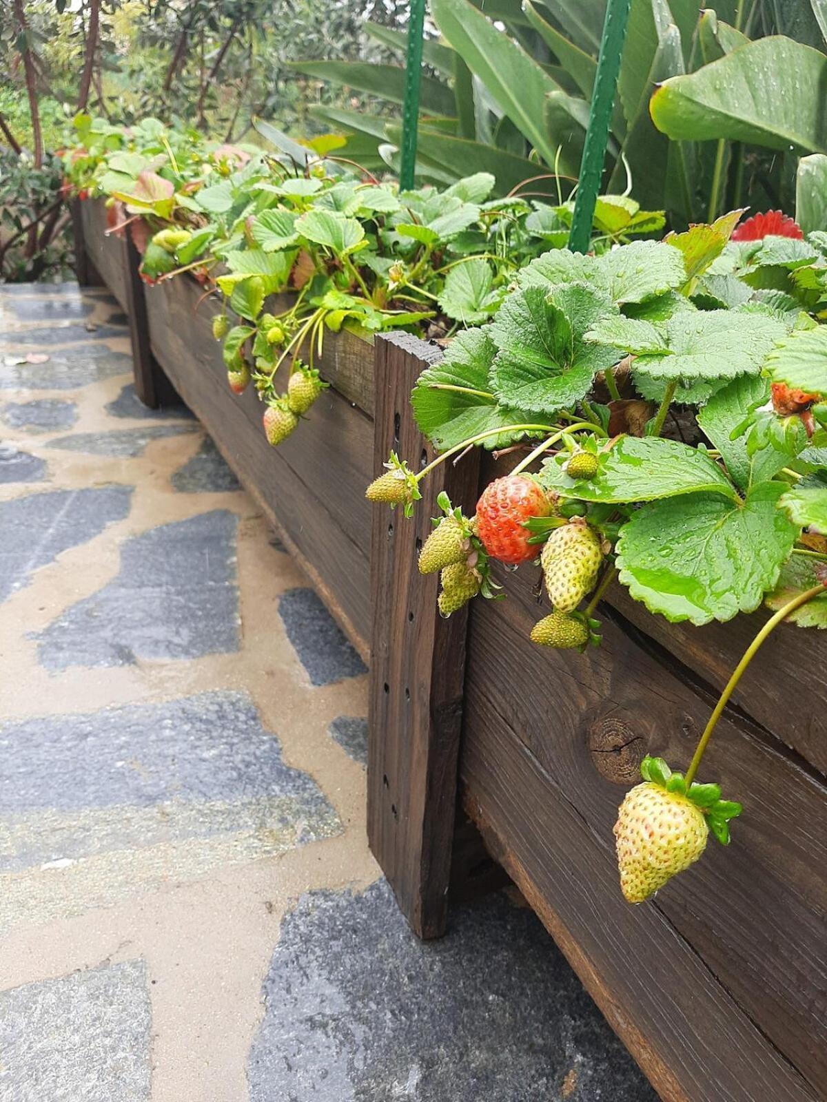 Finca De Luna La Orotava Ngoại thất bức ảnh